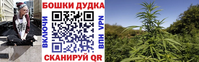 Купить закладки  Волжск  Бошки марихуана план 